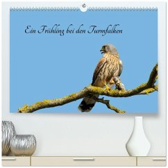 Cover Ein Frühjahr bei den Turmfalken (hochwertiger Premium Wandkalender 2026 DIN A2 quer), Kunstdruck in Hochglanz