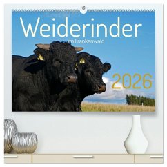 Cover Weiderinder im Frankenwald (hochwertiger Premium Wandkalender 2026 DIN A2 quer), Kunstdruck in Hochglanz