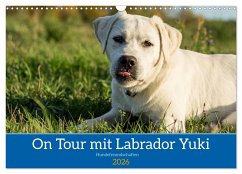 On Tour mit Labrador Yuki (Wandkalender 2026 DIN A3 quer), CALVENDO Monatskalender