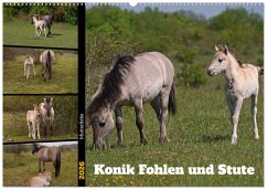 Mutterliebe - Konik Fohlen und Stute (Wandkalender 2026 DIN A2 quer), CALVENDO Monatskalender Mutterliebe - Konik Fohlen und Stute (Wandkalender 2026 DIN A2 quer), CALVENDO Monatskalender