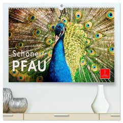 Schöner Pfau (hochwertiger Premium Wandkalender 2026 DIN A2 quer), Kunstdruck in Hochglanz