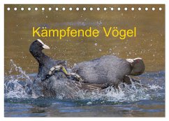 Kämpfende Vögel (Tischkalender 2026 DIN A5 quer), CALVENDO Monatskalender Kämpfende Vögel (Tischkalender 2026 DIN A5 quer), CALVENDO Monatskalender