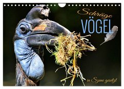 Schräge Vögel in Szene gesetzt (Wandkalender 2026 DIN A4 quer), CALVENDO Monatskalender Schräge Vögel in Szene gesetzt (Wandkalender 2026 DIN A4 quer), CALVENDO Monatskalender