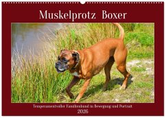 Cover Muskelprotz Boxer (Wandkalender 2026 DIN A2 quer), CALVENDO Monatskalender
