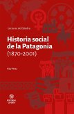 Historia social de la Patagonia (1870-2001) (eBook, ePUB) Historia social de la Patagonia (1870-2001) (eBook, ePUB)