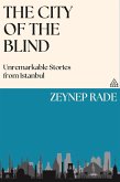 The City of the Blind: Unremarkable Stories from Istanbul (eBook, ePUB)