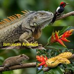 Jamaican Animals (eBook, ePUB)
