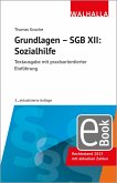 Grundlagen - SGB XII: Sozialhilfe (eBook, PDF) Grundlagen - SGB XII: Sozialhilfe (eBook, PDF)