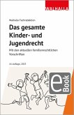 Das gesamte Kinder- und Jugendrecht (eBook, PDF) Das gesamte Kinder- und Jugendrecht (eBook, PDF)