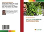HORTA DE ERVAS MEDICINAL: