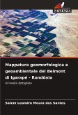 Mappatura geomorfologica e geoambientale del Belmont di Igarapé - Rondônia Mappatura geomorfologica e geoambientale del Belmont di Igarapé - Rondônia