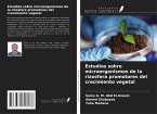Estudios sobre microorganismos de la rizosfera promotores del crecimiento vegetal