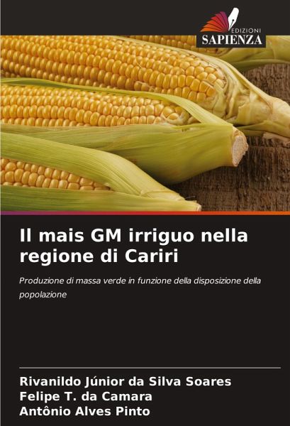 Il mais GM irriguo nella regione di Cariri Il mais GM irriguo nella regione di Cariri
