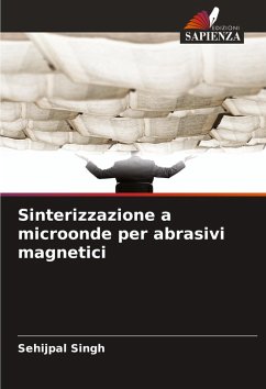 Cover Sinterizzazione a microonde per abrasivi magnetici