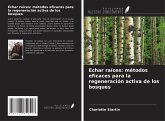 Echar raíces: métodos eficaces para la regeneración activa de los bosques