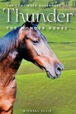 The Continued Adventures of Thunder The Continued Adventures of Thunder