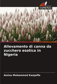 Allevamento di canna da zucchero esotica in Nigeria Cover Allevamento di canna da zucchero esotica in Nigeria