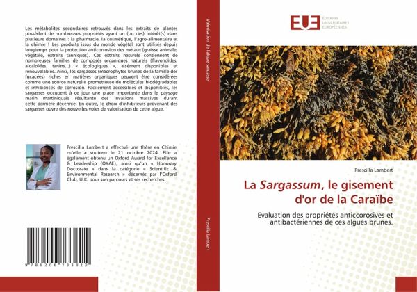 La Sargassum, le gisement d'or de la Caraïbe