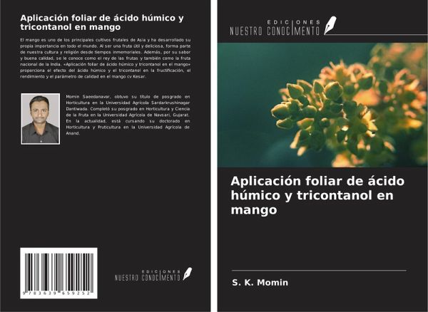 Aplicación foliar de ácido húmico y tricontanol en mango Aplicación foliar de ácido húmico y tricontanol en mango