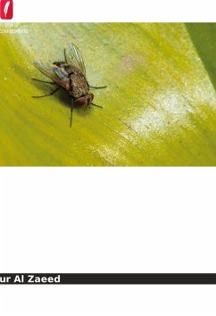 Cover Preparação de quitosano a partir de larvas de mosca doméstica (Musca domestica)