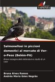 Salmonellosi in piccioni domestici al mercato di Ver-o-Peso (Belém-PA)