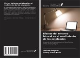 Efectos del entorno laboral en el rendimiento de los empleados Efectos del entorno laboral en el rendimiento de los empleados