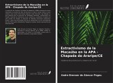 Extractivismo de la Macaúba en la APA - Chapada do Araripe/CE