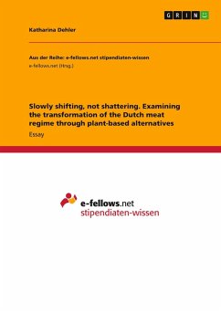 Slowly shifting, not shattering. Examining the transformation of the Dutch meat regime through plant-based alternatives