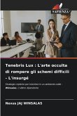 Tenebris Lux : L'arte occulta di rompere gli schemi difficili - L'insurgé Tenebris Lux : L'arte occulta di rompere gli schemi difficili - L'insurgé