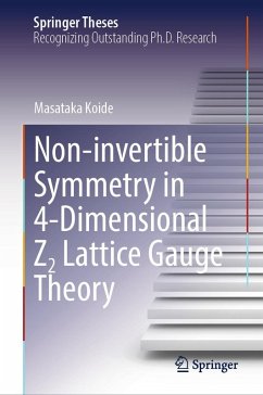Non-invertible Symmetry in 4-Dimensional Z2 Lattice Gauge Theory (eBook, PDF) - Koide, Masataka