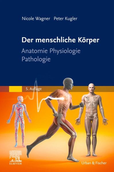 Der menschliche Körper (eBook, ePUB) Der menschliche Körper (eBook, ePUB)