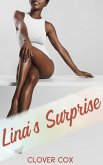Lina's Surprise (eBook, ePUB) Lina's Surprise (eBook, ePUB)