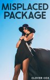 Misplaced Package (eBook, ePUB)