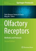 Olfactory Receptors (eBook, PDF)