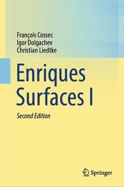 Cover Enriques Surfaces I (eBook, PDF)