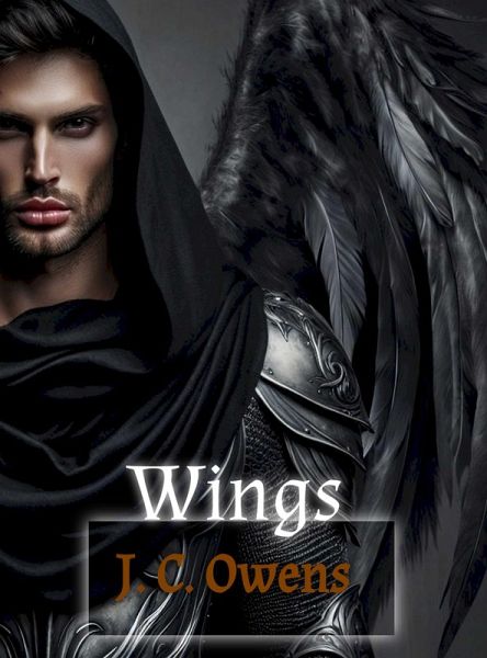 Wings (eBook, ePUB)