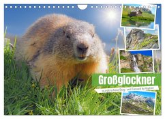 Cover Großglockner wunderschöne Berg- und Tierwelt (Wandkalender 2026 DIN A4 quer), CALVENDO Monatskalender