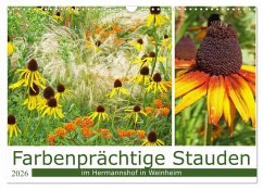 Farbenprächtige Stauden im Hermannshof in Weinheim (Wandkalender 2026 DIN A3 quer), CALVENDO Monatskalender
