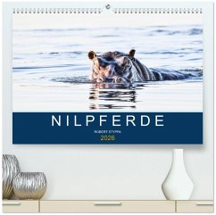 Nilpferde, Kolosse in Afrika (hochwertiger Premium Wandkalender 2026 DIN A2 quer), Kunstdruck in Hochglanz