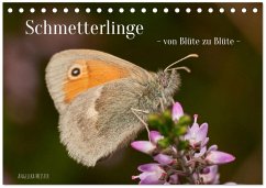Schmetterlinge - von Blüte zu Blüte - (Tischkalender 2026 DIN A5 quer), CALVENDO Monatskalender Schmetterlinge - von Blüte zu Blüte - (Tischkalender 2026 DIN A5 quer), CALVENDO Monatskalender