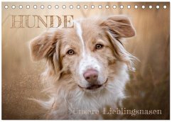 Hunde - Unsere Lieblingsnasen (Tischkalender 2026 DIN A5 quer), CALVENDO Monatskalender Hunde - Unsere Lieblingsnasen (Tischkalender 2026 DIN A5 quer), CALVENDO Monatskalender