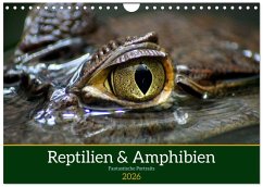 Reptilien & Amphibien Portraits (Wandkalender 2026 DIN A4 quer), CALVENDO Monatskalender