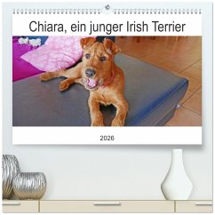 Cover Chiara, ein junger Irish Terrier (hochwertiger Premium Wandkalender 2026 DIN A2 quer), Kunstdruck in Hochglanz