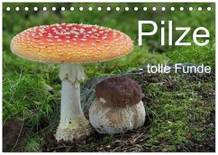 Cover Pilze - tolle Funde (Tischkalender 2026 DIN A5 quer), CALVENDO Monatskalender
