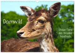 Damwild - stolze Tiere des Waldes hautnah (Wandkalender 2026 DIN A3 quer), CALVENDO Monatskalender Damwild - stolze Tiere des Waldes hautnah (Wandkalender 2026 DIN A3 quer), CALVENDO Monatskalender