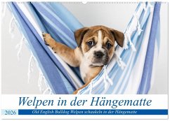 Cover Welpen in der Hängematte (Wandkalender 2026 DIN A2 quer), CALVENDO Monatskalender