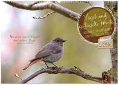 Cover Vögel und geflügelte Worte (Wandkalender 2026 DIN A2 quer), CALVENDO Monatskalender