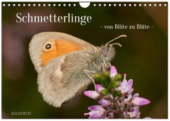 Schmetterlinge - von Blüte zu Blüte - (Wandkalender 2026 DIN A4 quer), CALVENDO Monatskalender Schmetterlinge - von Blüte zu Blüte - (Wandkalender 2026 DIN A4 quer), CALVENDO Monatskalender