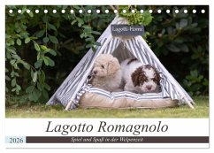 Lagotto Romagnolo - Spiel und Spaß in der Welpenzeit (Tischkalender 2026 DIN A5 quer), CALVENDO Monatskalender Lagotto Romagnolo - Spiel und Spaß in der Welpenzeit (Tischkalender 2026 DIN A5 quer), CALVENDO Monatskalender