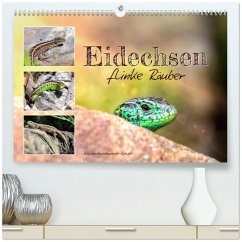 Cover Eidechsen, flinke Räuber (hochwertiger Premium Wandkalender 2026 DIN A2 quer), Kunstdruck in Hochglanz